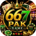 667Pak Game