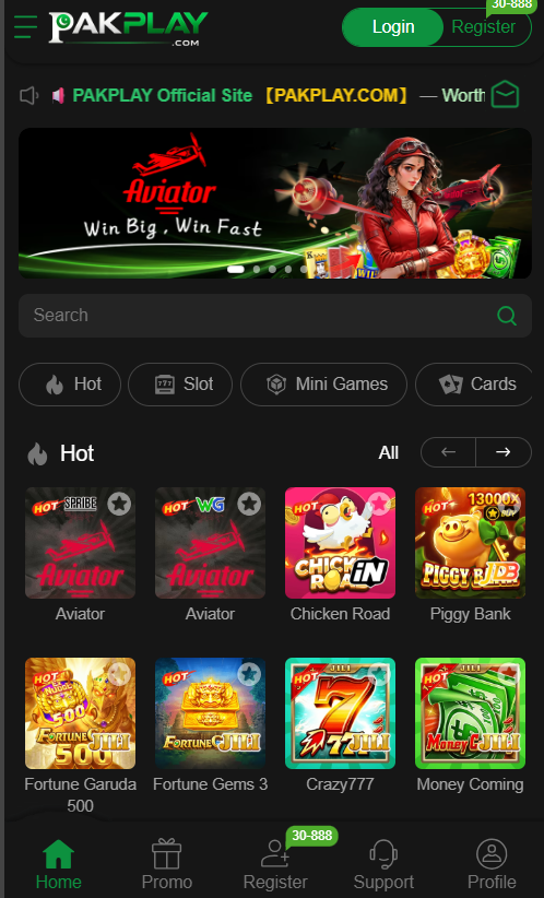 pak play game